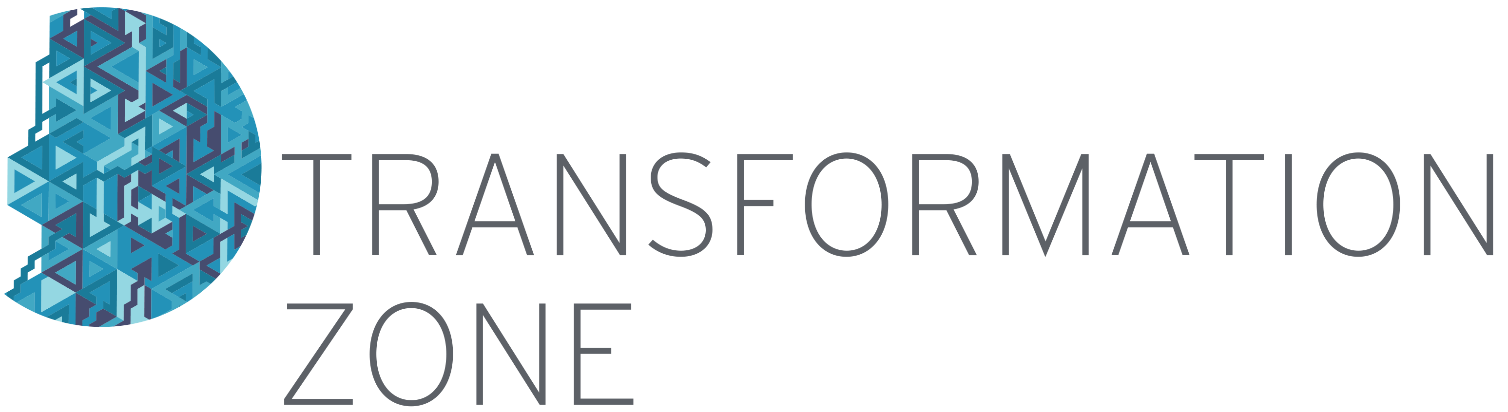 Transformation Zone Logo